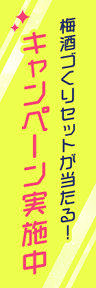 キャンペーン実施中