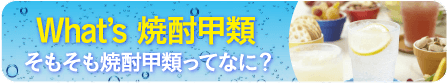 What’s 焼酎甲類 そもそも焼酎甲類ってなに？