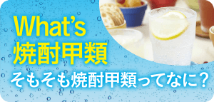 What’s 焼酎甲類 そもそも焼酎甲類ってなに？