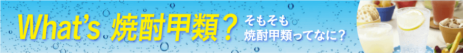 What’s 焼酎甲類？そもそも焼酎甲類ってなに？