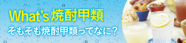 What’s 焼酎甲類？そもそも焼酎甲類ってなに？