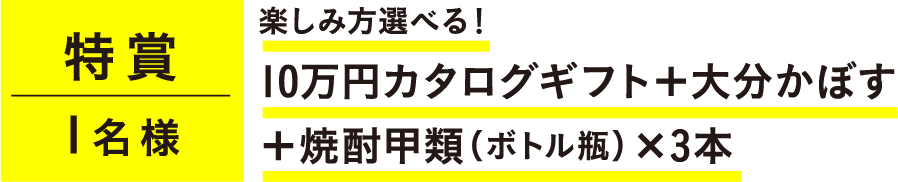 特賞1名様楽しみ方選べる！10万円カタログギフト＋大分かぼす＋焼酎甲類（ボトル瓶）×3本