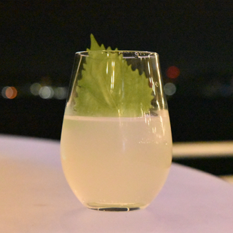 ポートスカッシュ