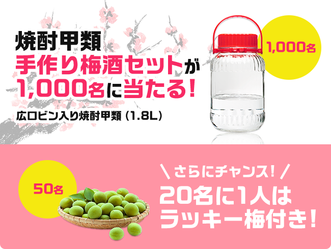 焼酎甲類手作り梅酒セットが1,000名に当たる!さらにチャンス!20名に1人はラッキー梅付き!
