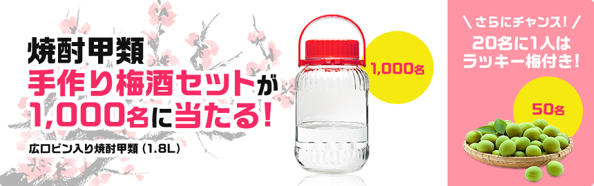 焼酎甲類手作り梅酒セットが1,000名に当たる!さらにチャンス!20名に1人はラッキー梅付き!