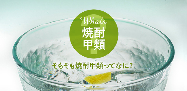 What's 焼酎甲類 そもそも焼酎甲類ってなに？