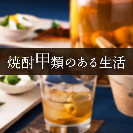 焼酎甲類のある生活