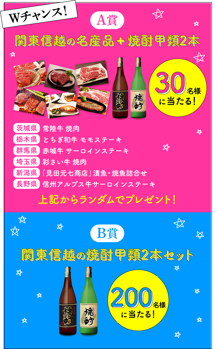 A賞 関東信越の名産品　焼酎甲類2本 B賞 関東信越の焼酎甲類2本セット