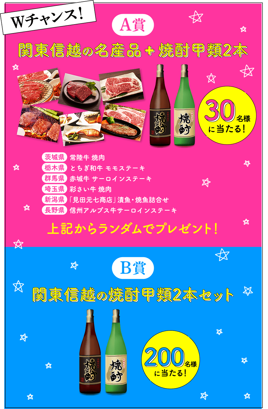 A賞 関東信越の名産品　焼酎甲類2本 B賞 関東信越の焼酎甲類2本セット