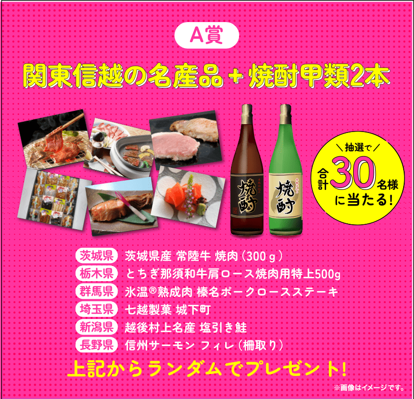 A賞 関東信越の名産品+焼酎甲類2本