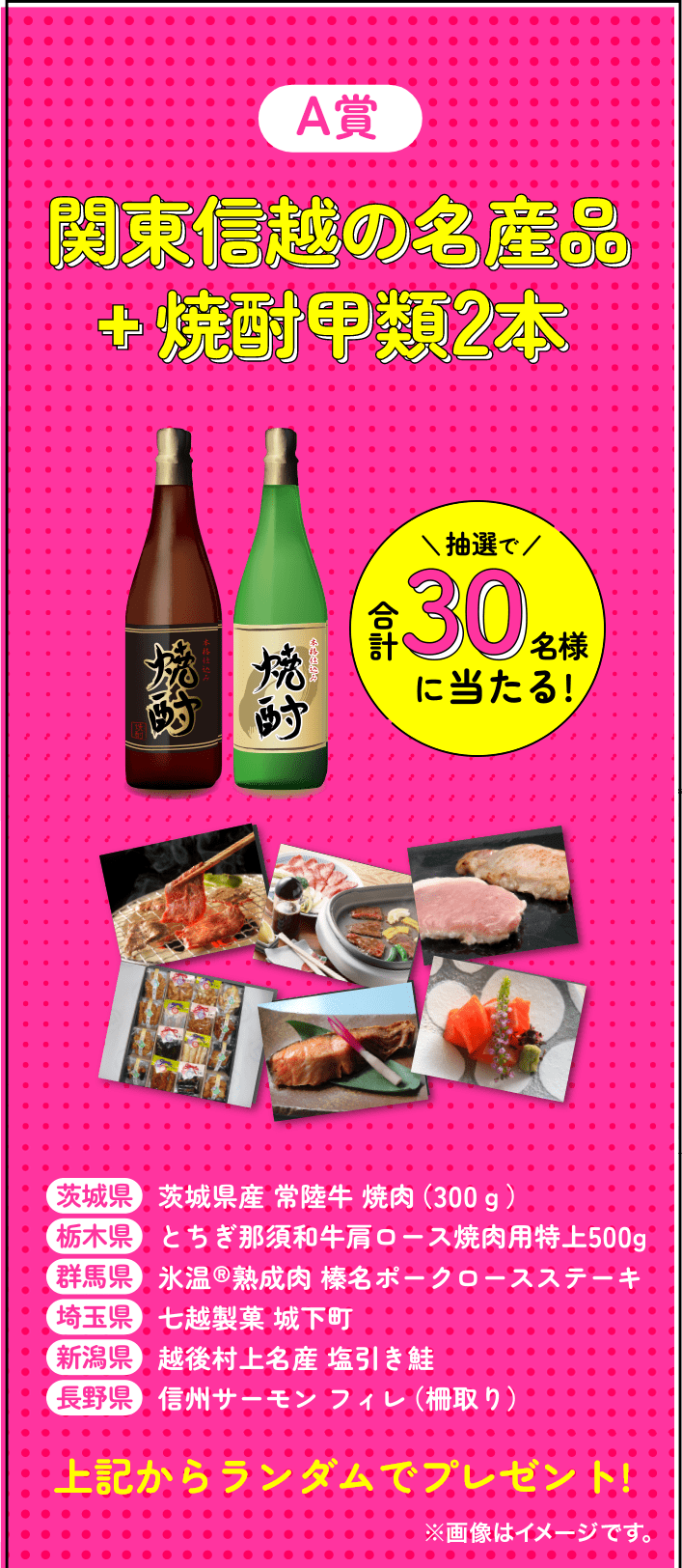 A賞 関東信越の名産品+焼酎甲類2本
