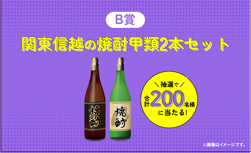 B賞 関東信越の名産品+焼酎甲類2本