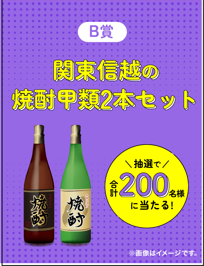 B賞 関東信越の名産品+焼酎甲類2本