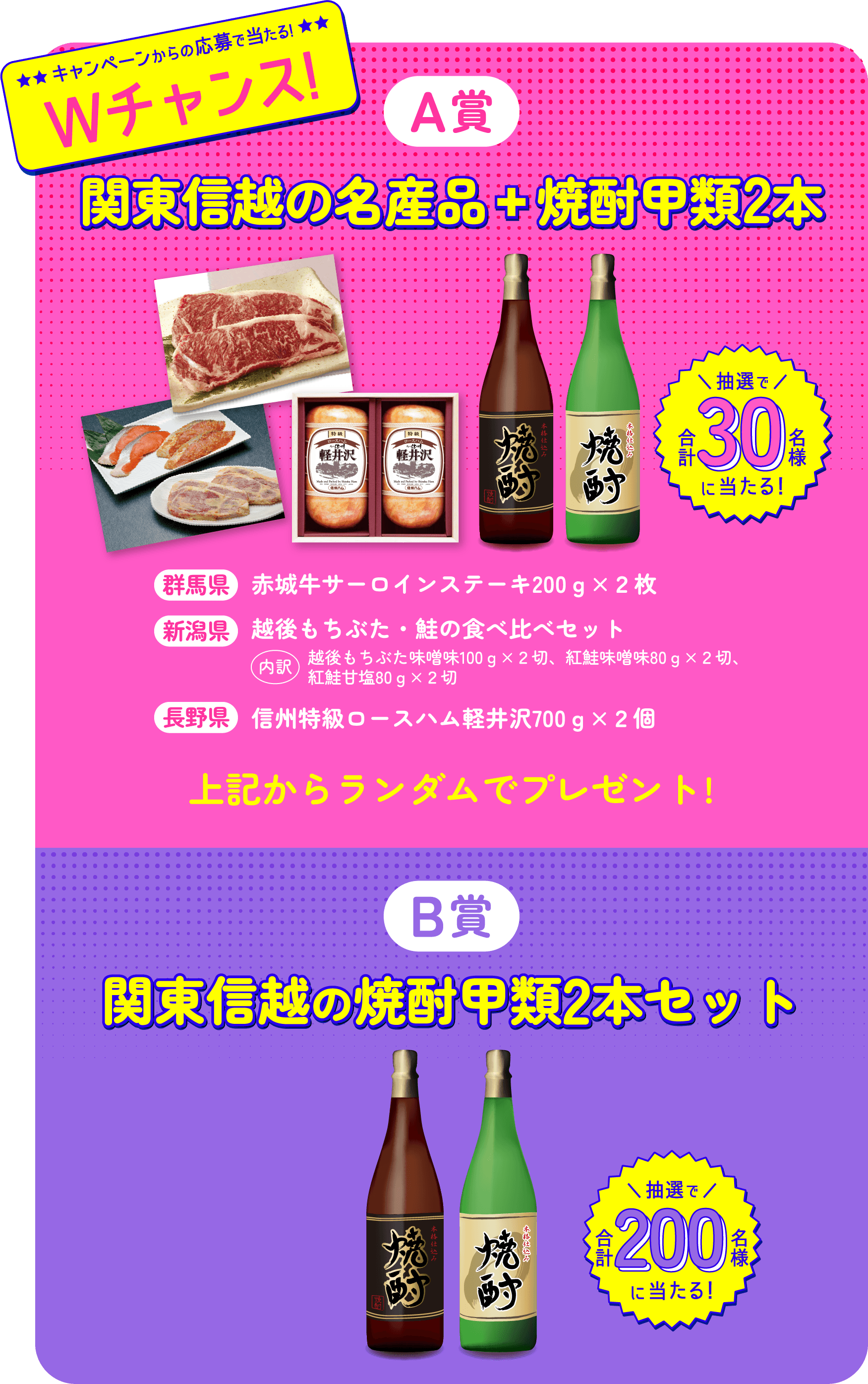 キャンペーンからの応募で当たる! Wチャンス! A賞 関東信越の名産品+焼酎甲類2本 抽選で合計30名様 群馬県 赤城牛サーロインステーキ200g×2枚 新潟県 越後もちぶた・鮭の食べ比べセット【内訳】越後もちぶた味噌味100g×2切、紅鮭味噌味80g×2切、紅鮭甘塩80g×2切 長野県 信州特級ロースハム軽井沢700g×2個 上記からランダムでプレゼント! B賞 関東信越の焼酎甲類2本セット 抽選で合計200名様