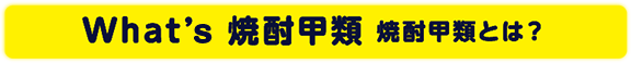 What’s焼酎甲類 焼酎甲類とは？