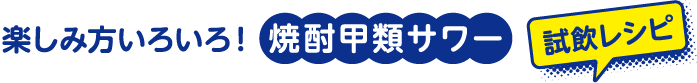 楽しみ方いろいろ！焼酎甲類サワー試飲レシピ