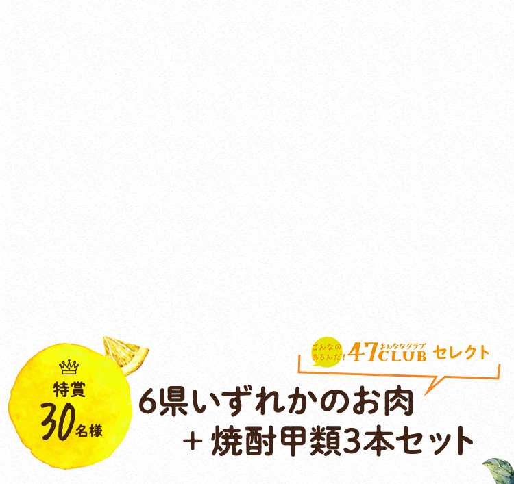 特賞30名様 茨城県 栃木県 群馬県 埼玉県 新潟県 長野県 6県いずれかのお肉+焼酎甲類3本セット