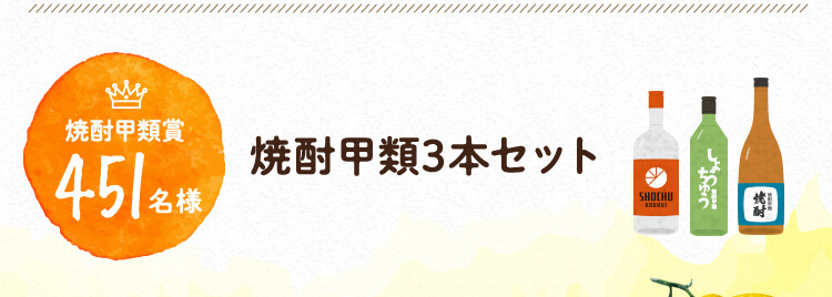 焼酎甲類賞451名様 焼酎甲類3本セット