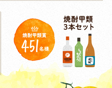 焼酎甲類賞451名様 焼酎甲類3本セット