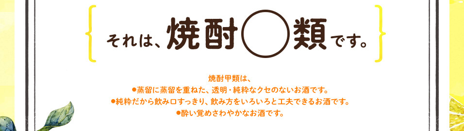 それは、焼酎〇類です。　焼酎甲類は、●蒸留に蒸留を重ねた、透明・純粋なクセのないお酒です。●純粋だから飲み口すっきり、飲み方をいろいろと工夫できるお酒です。●酔い覚めさわやかなお酒です。