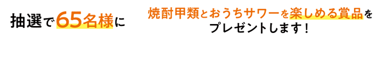 抽選で65名様に焼酎甲類とおうちサワーを楽しめる賞品をプレゼントします！