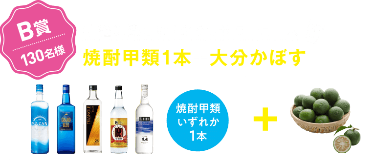 B賞130名様 手軽に楽しむ！おうちサワーコース 焼酎甲類1本＋大分かぼす