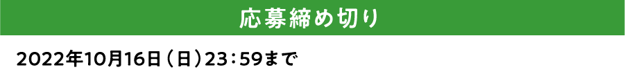 応募締め切り