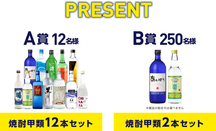 Present A賞 12名様 焼酎甲類12本セット B賞 250名様 焼酎甲類2本セット